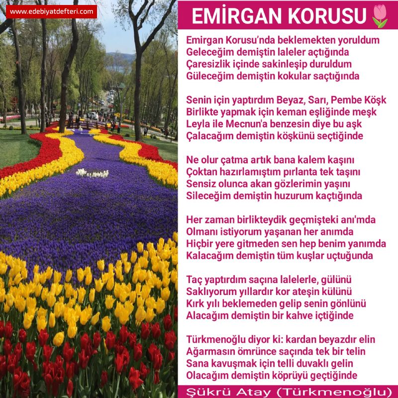 EMİRGAN KORUSU🌷
