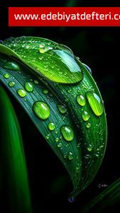 Öyle uyuşturdun ki yüreğimi