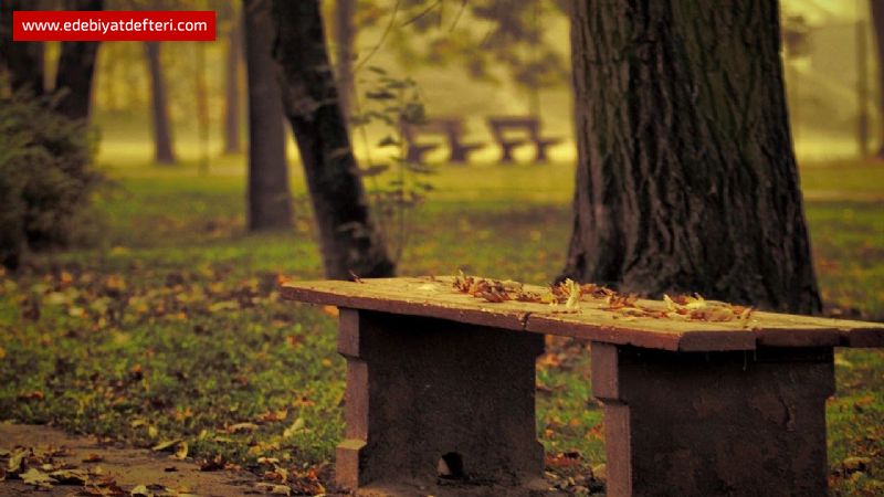 GÜNEŞ ORDAN DOĞACAK