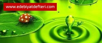 Sen de mutlu olabilirsin