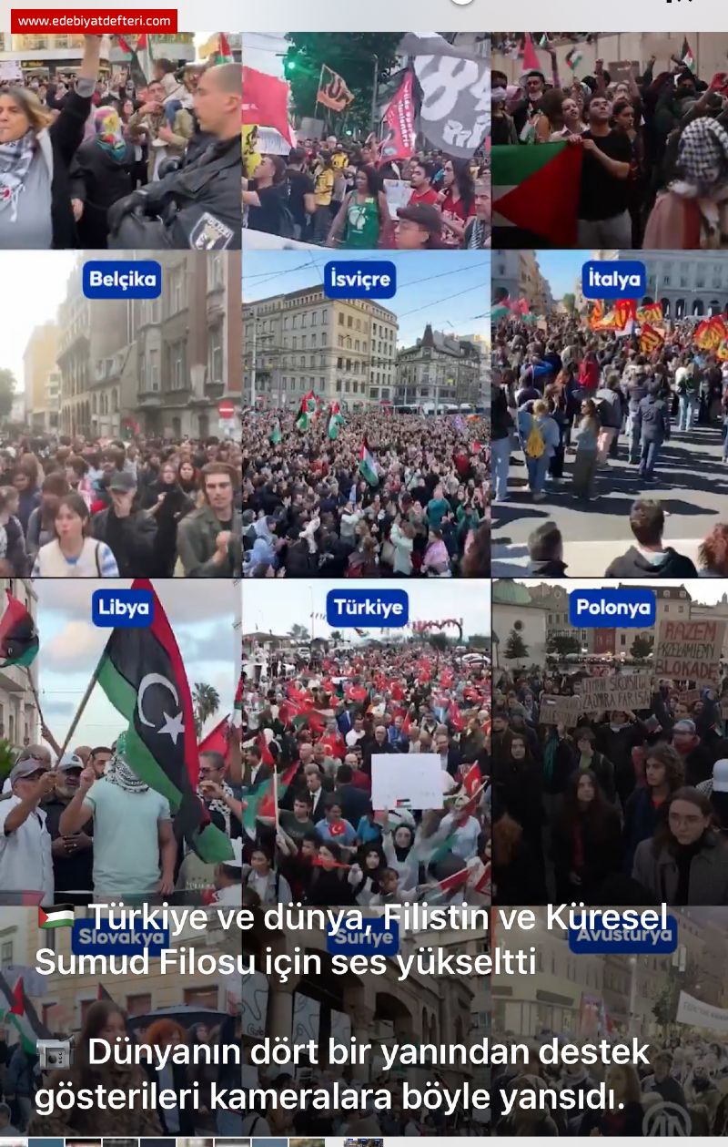 Bizim inancmzda kular filleri yener