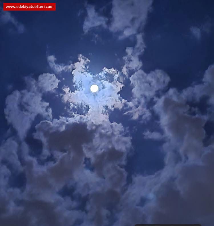 HUYUM BELLİ İZİM BELLİ