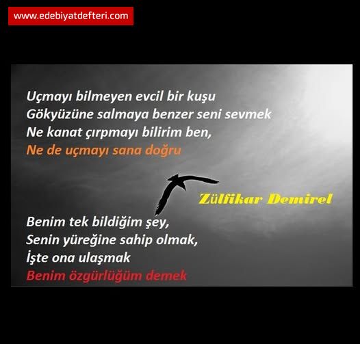 Uçmayı bilmeyen evcil bir kuş