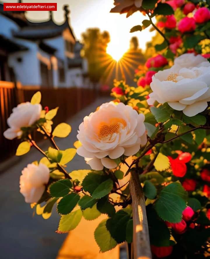 Yedi Kelime Yedi Mana