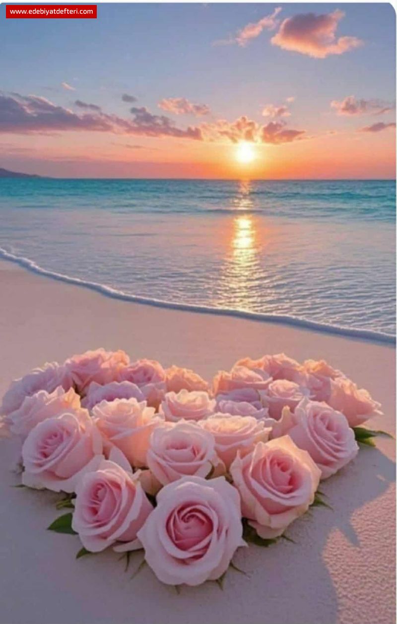 Gülerek Güneş Ölüyor