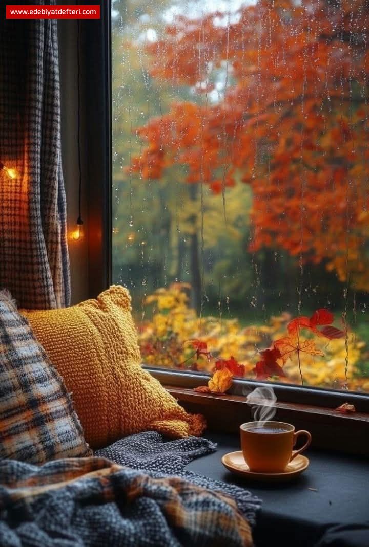 Karşılıksız Yankı