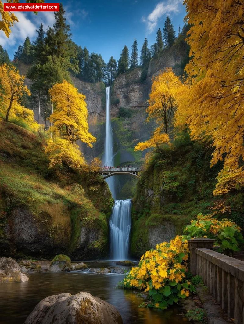 HİLÂL-İ MİYÂN (Bel Gazeli)