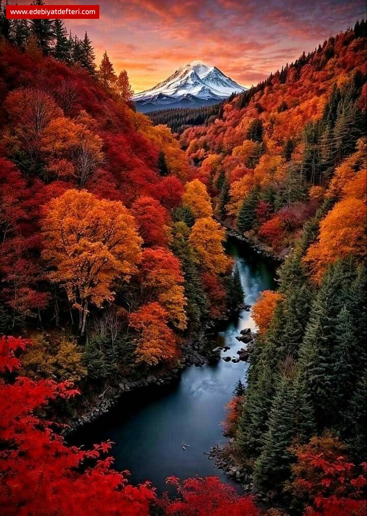 YANIK GÖNÜL FERYADI