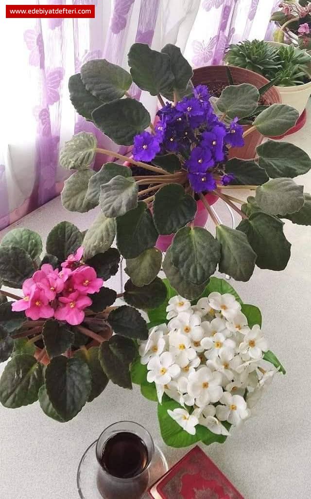 İçimden Açan Çiçek