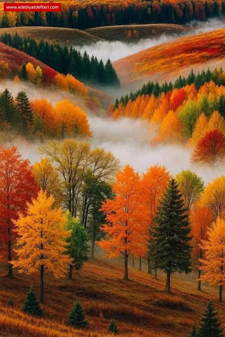 Son Yaprak Düşmeden