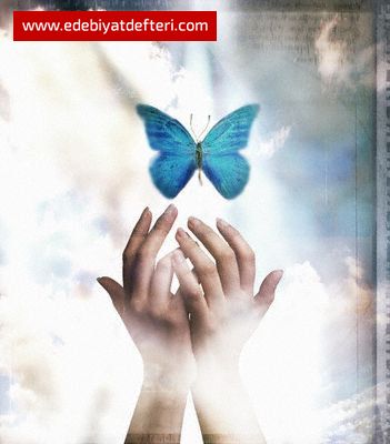 Sen kanatlarından tuttuğum, o güzel mavi kelebek