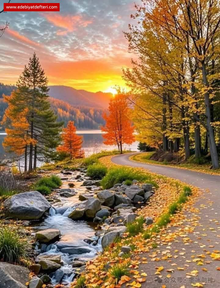 Sessizliğin Ardındaki Şehir