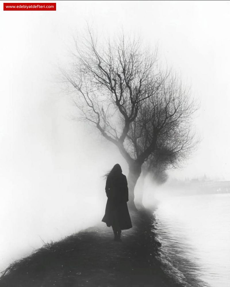 rüzgarın çağrısı