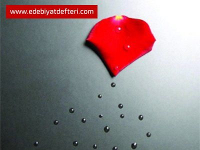 Elim acıyordu gittim doktora, baktı, kesti, biçti, dikti...