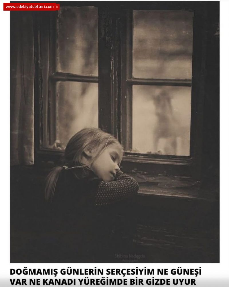 DOMAMI GNLERN SERESYM