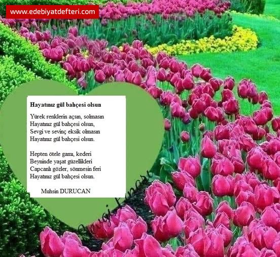 G�L BAH�EM OLUR MUSUN ?