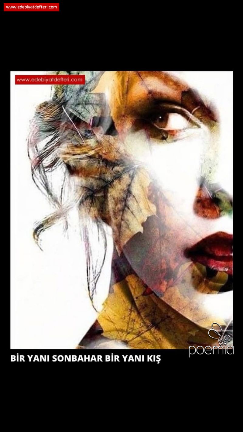 BİR YANI SONBAHAR BİR YANI KIŞ