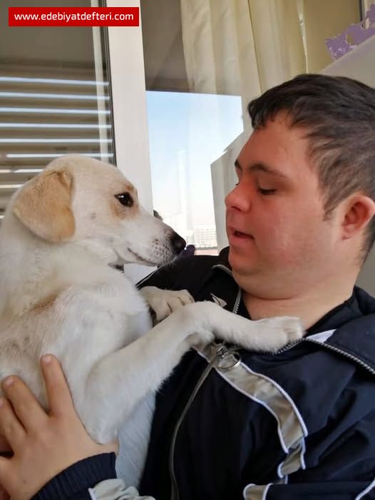 YERYÜZÜ MELEKLERİ