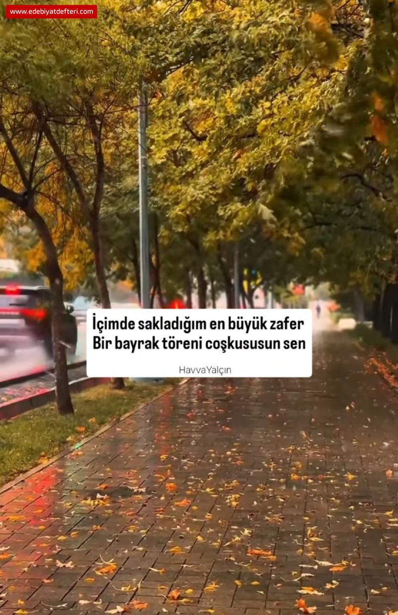 Seni, Hiçbir Telaşıma Feda Etmedim