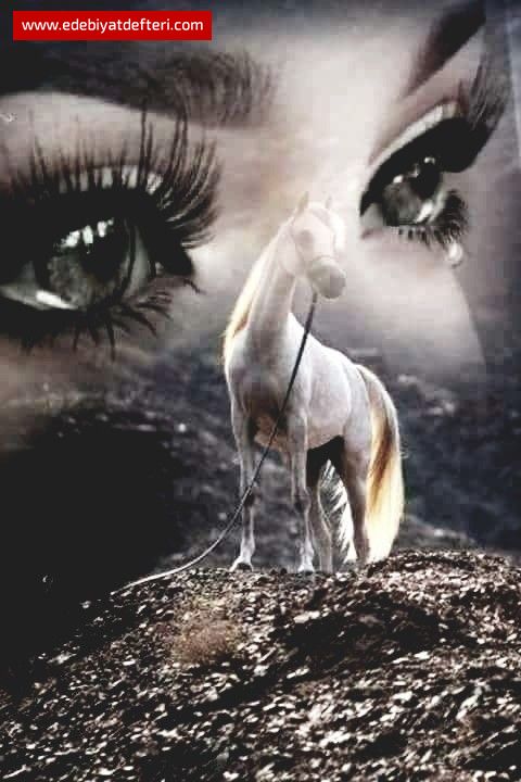 Çavuşun Kızı (Türkü)