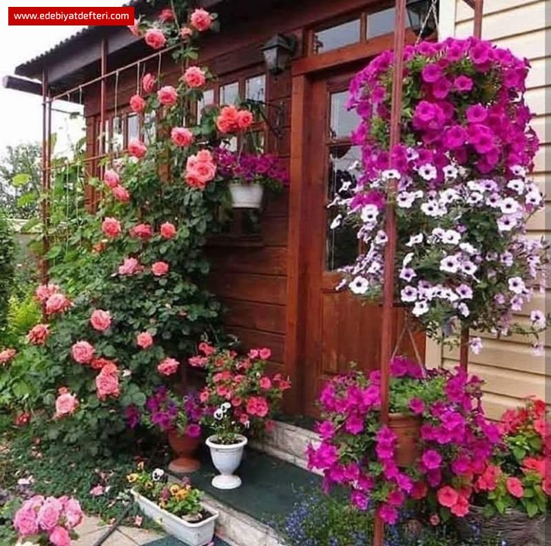 HÜZÜNLER/ OLMAZ/SEVGİDE/