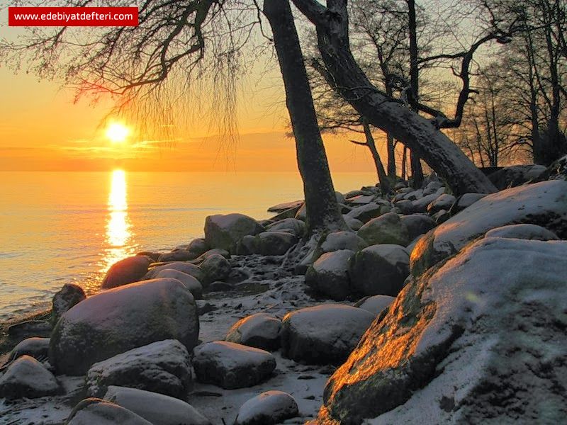 Çoğunu O’na Vermiştim Gökyüzünün
