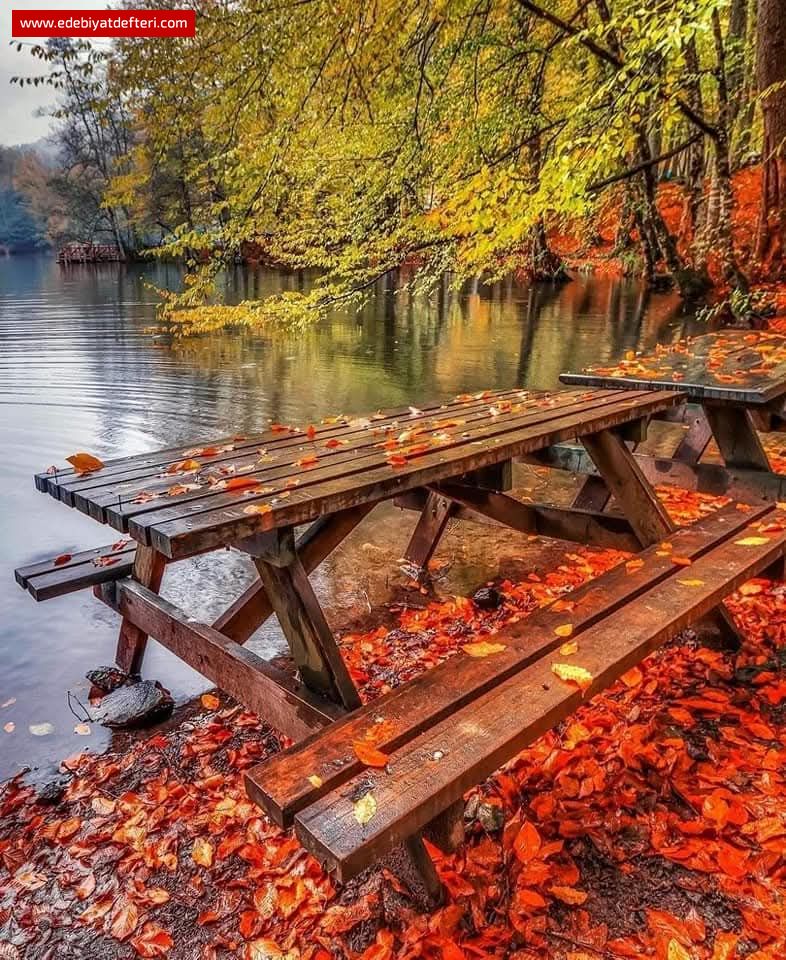 ZLEMN/AKI/VAR/GNL/DE/