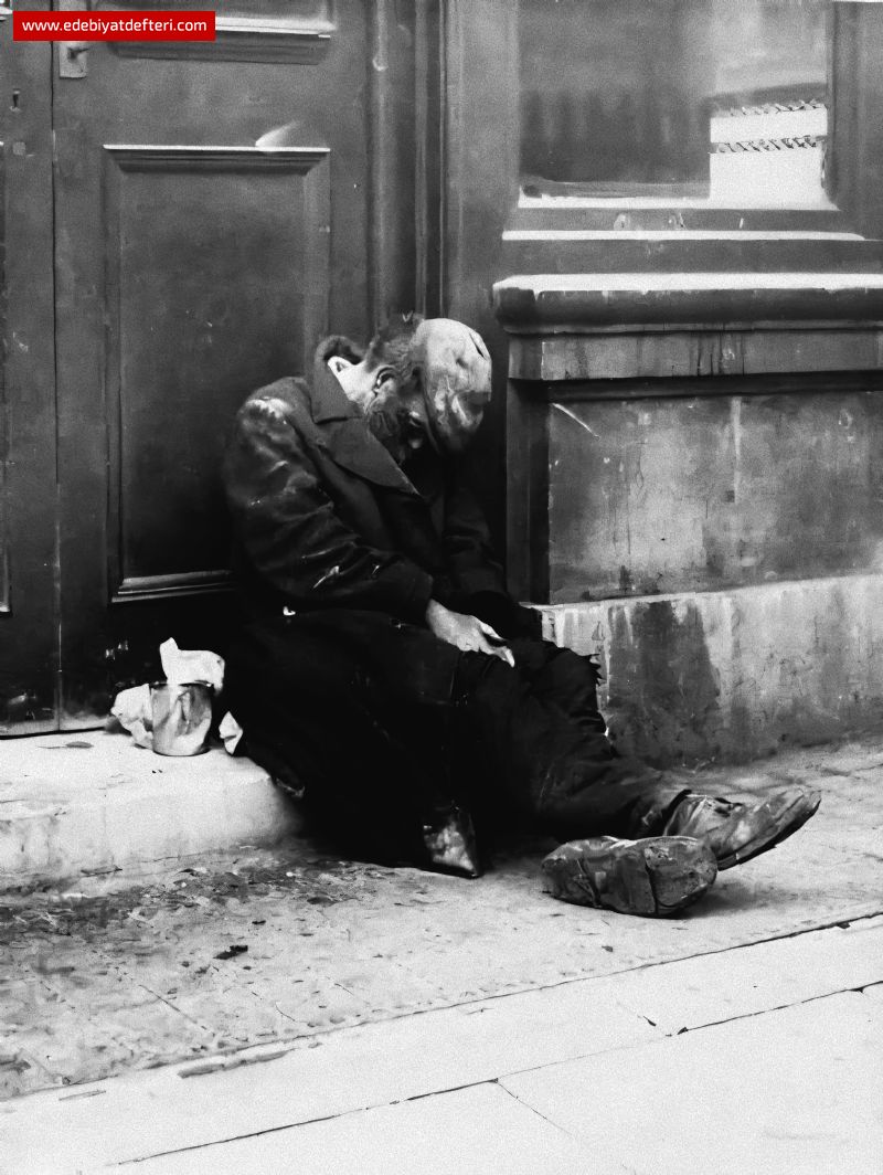 Kelebeğin Şaire Notları: Şairin Sonu