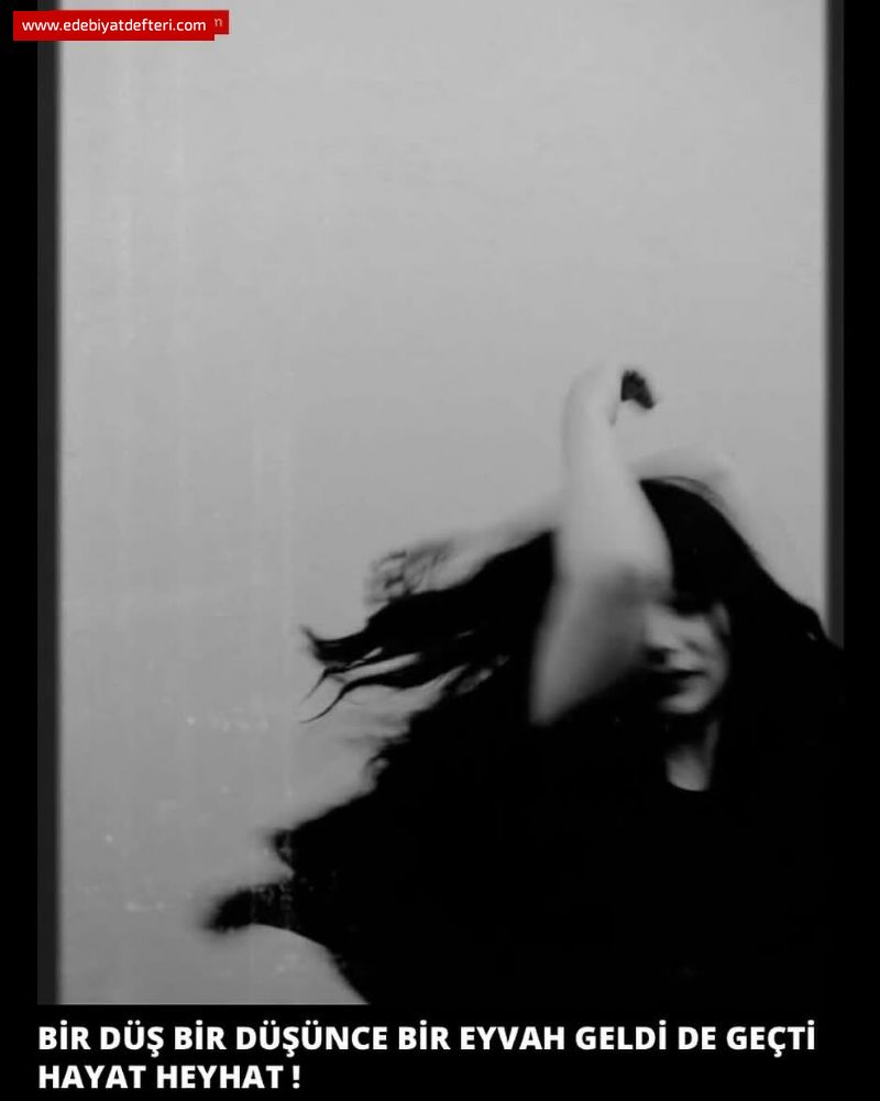 BİR DÜŞ BİR DÜŞÜNCE BİR EYVAH GELDİ DE GEÇTİ HAYAT HEYHAT