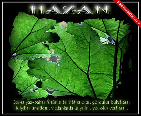 HAZAN GNLM