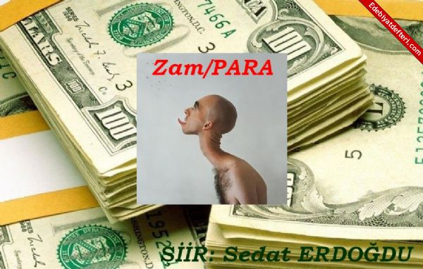 Zam/PARA