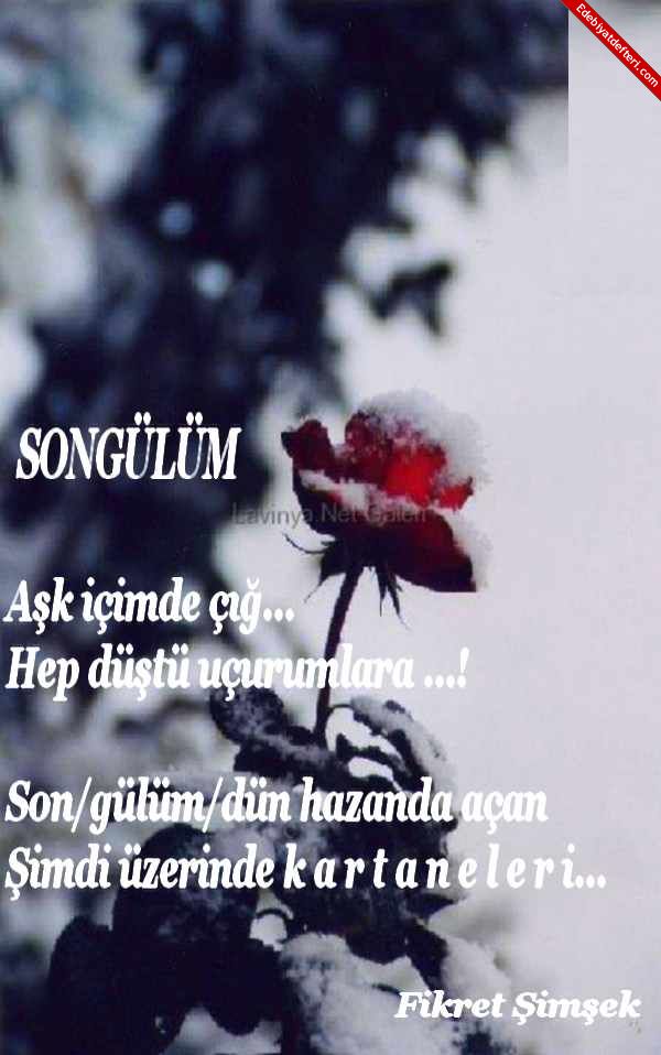 SONGLM