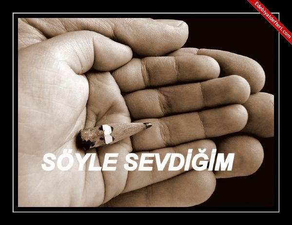 SYLE SEVDM