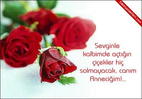 ANNEM