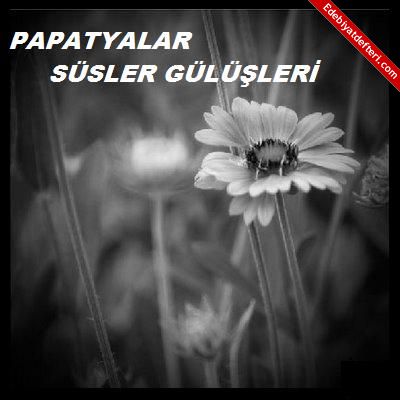 PAPATYALAR SSLER GLLER