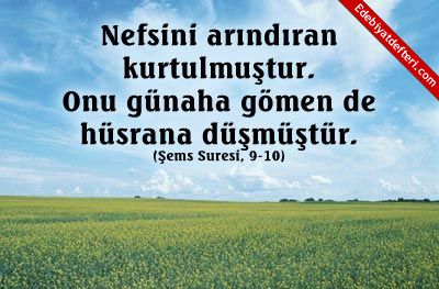 NEFS...