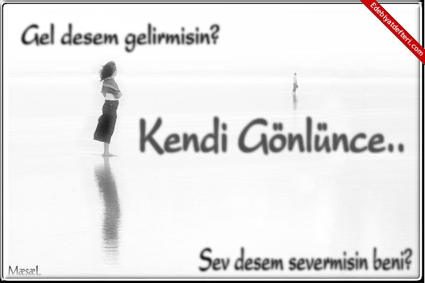 Severmisin beni ...