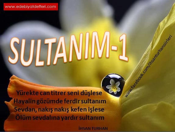 SULTANIM-1