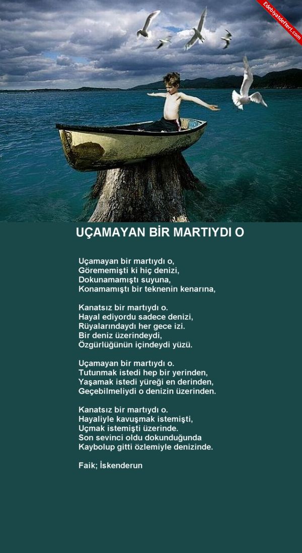 UAMAYAN BR MARTIYDI O