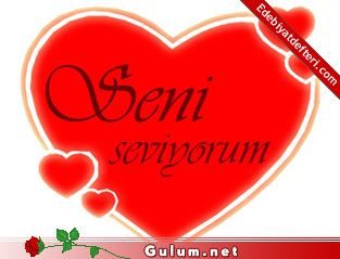 sevgi