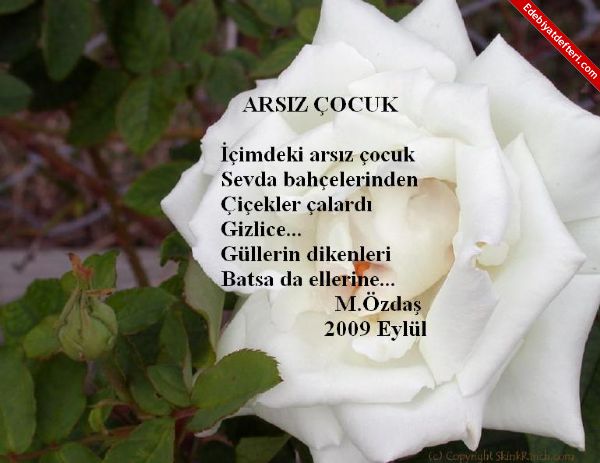 ARSIZ OCUK