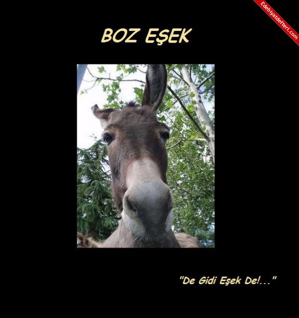 Boz Eek (Fabl)