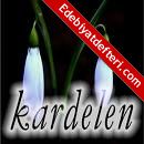 __KARDELEN__