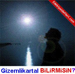 BiLiRMiSiN...?