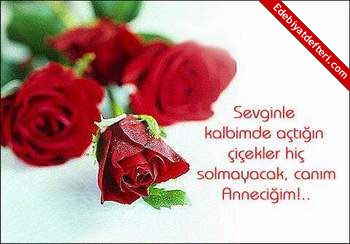 ANNEM