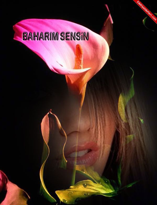 BAHARIM SENSN