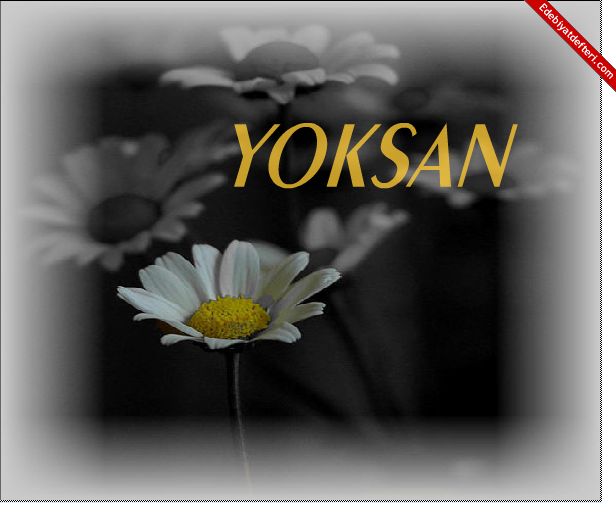 SEN YOKSAN