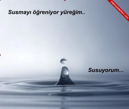 S U S U Y O R U M!....