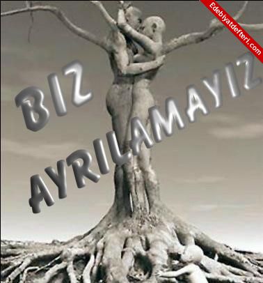 Ayrlamayz