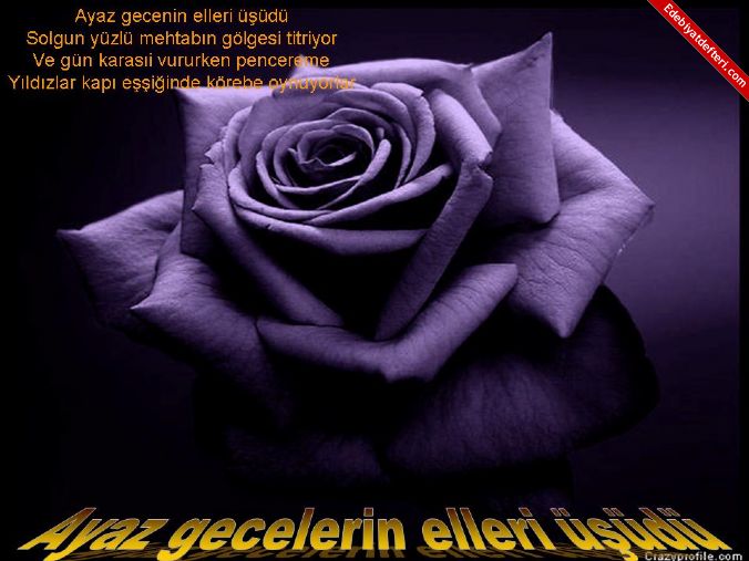 Ayaz gecenin elleri d